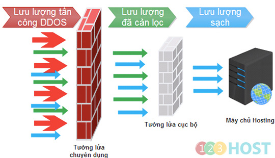 123host network security